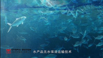 水产品无水保活运输技术三维动画——三维动画